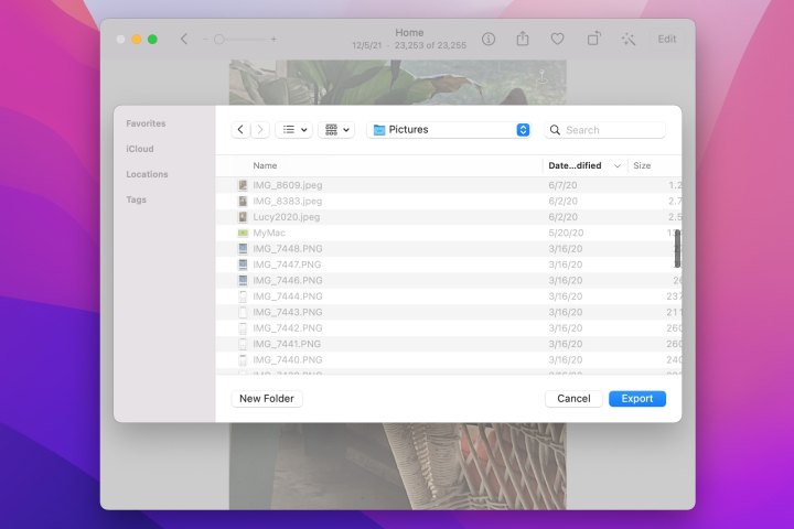 نافذة التصدير لتطبيق الصور على نظام Mac.
