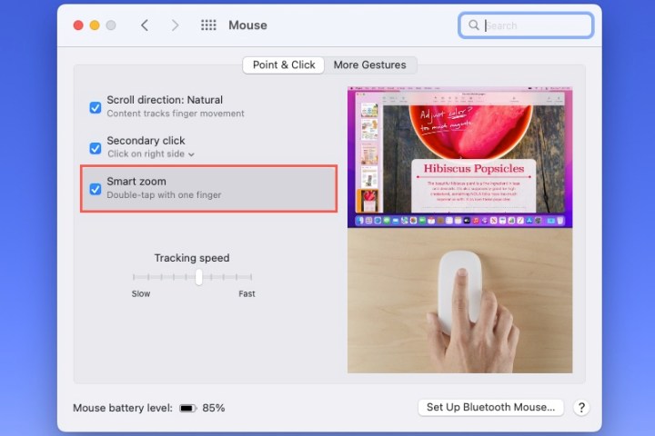 إعداد الماوس Smart Zoom على جهاز Mac.