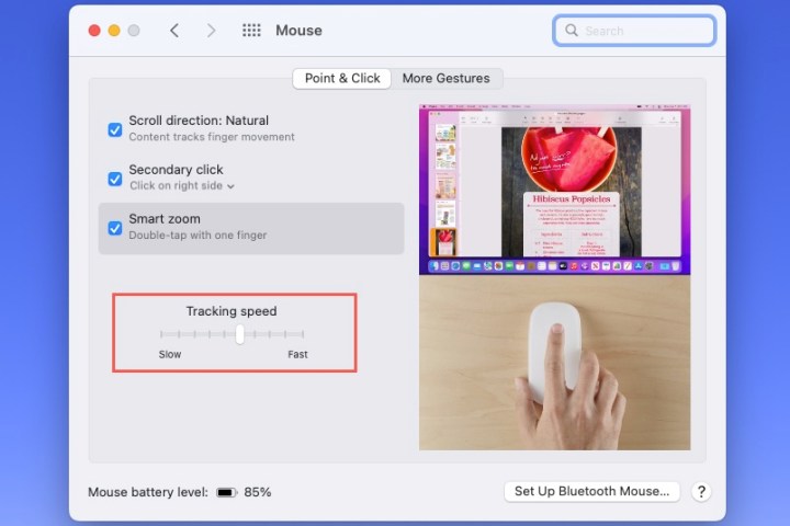 تتبع إعداد سرعة الماوس على جهاز Mac.