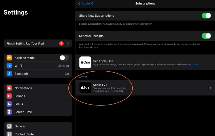 عرض اشتراكات iPad.