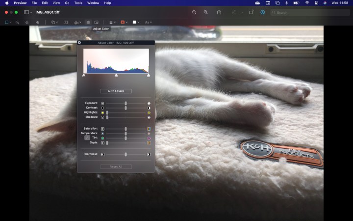 معاينة MacOS لضبط اللون