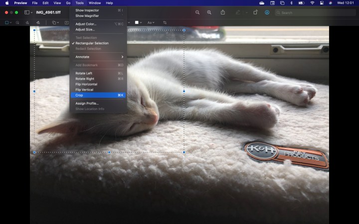 MacOS معاينة صورة المحاصيل