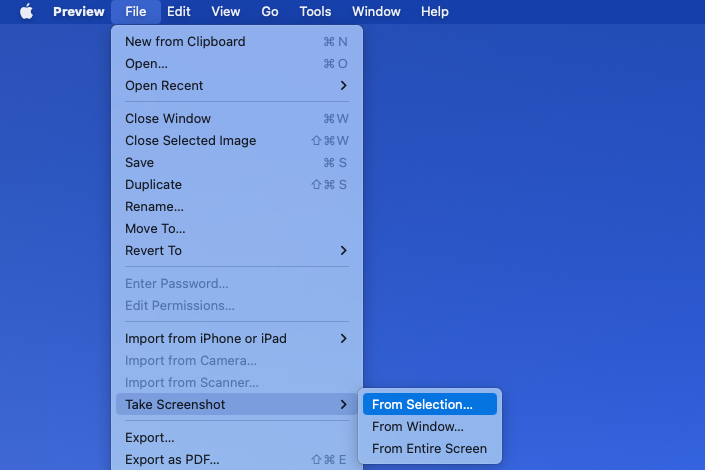 من التحديد في خيارات التقاط لقطة الشاشة في المعاينة.