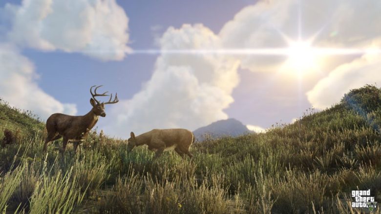 Deer in GTA 5