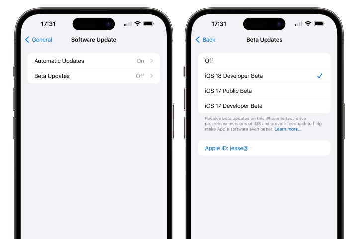أجهزة iPhone تعرض الإعدادات لتمكين تحديثات iOS 18 Developer Beta.