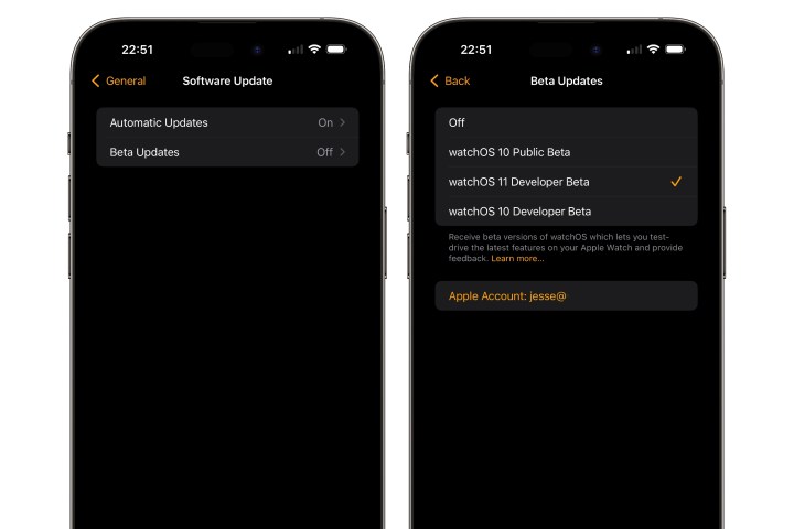iPhone يعرض الإعدادات لتمكين تحديثات watchOS 11 Developer Beta.