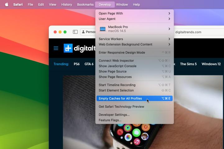مسح ذاكرة التخزين المؤقت في Safari في macOS Sonoma.