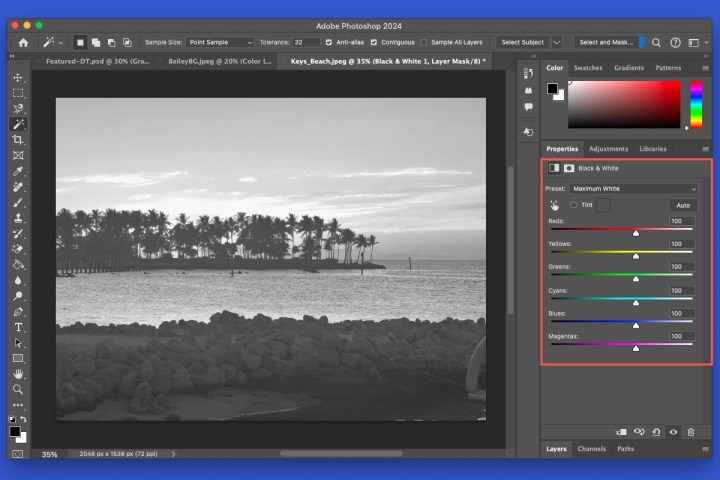 إعدادات الأبيض والأسود في الفوتوشوب.