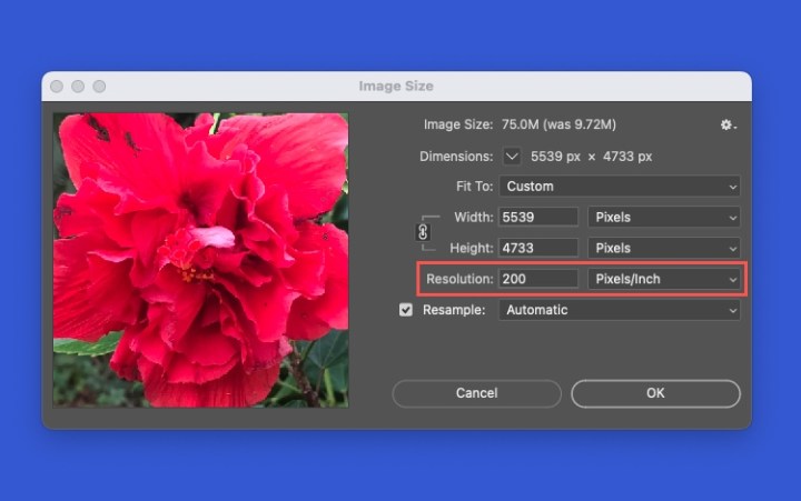 حقل الدقة في الفوتوشوب.