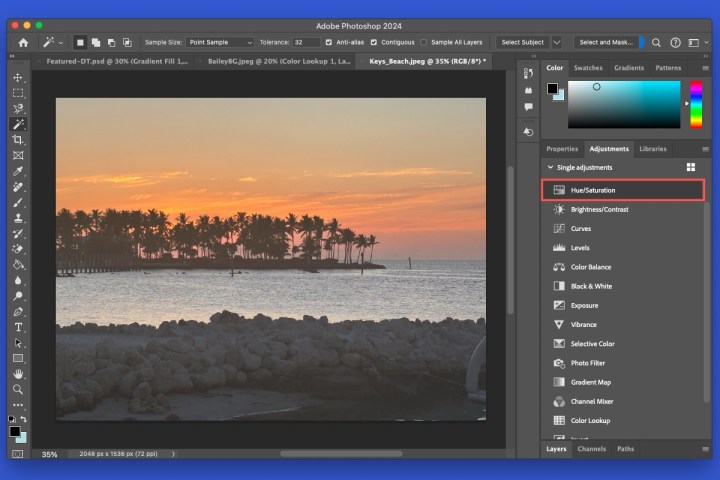 تشبع اللون في الفوتوشوب.