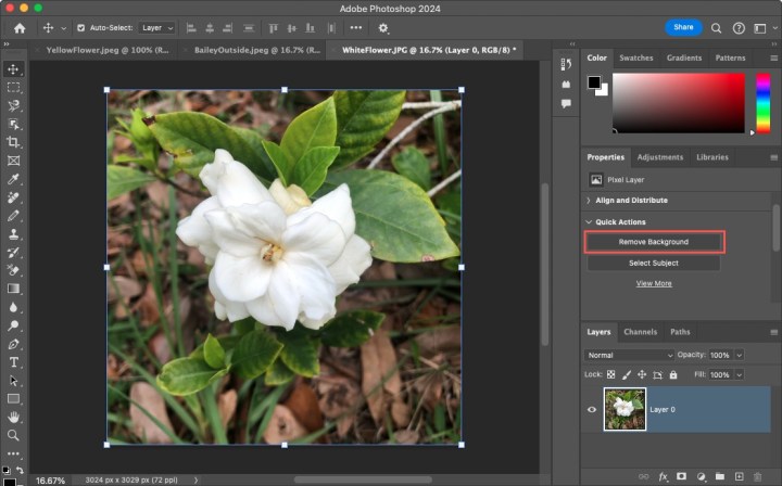 إزالة الخلفية أسفل الإجراءات السريعة.