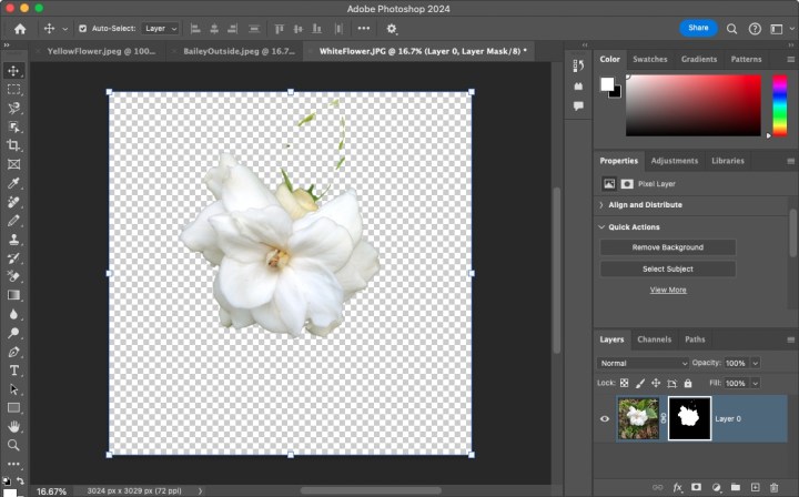 تمت إزالة الخلفية باستخدام الإجراءات السريعة.