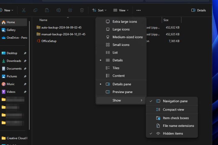 إظهار الملفات المخفية في Windows 11.