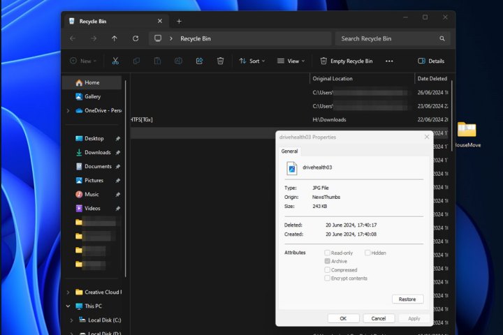 استعادة ملف في Windows 11.