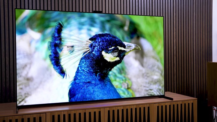 أفضل تلفزيون مقابل الأكبر: Sony A95L وTCL QM8