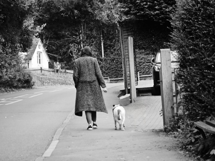 صورة تم التقاطها بهاتف OnePlus 12 وتم تحريرها باستخدام محرر الذكاء الاصطناعي في OxygenOS 15.