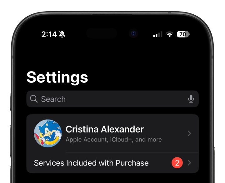 علامة تبويب iCloud في الإعدادات لنظام iOS 18.