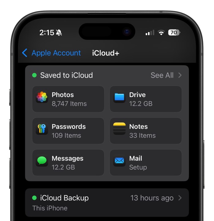 تم الحفظ في علامة تبويب iCloud في iOS 18.