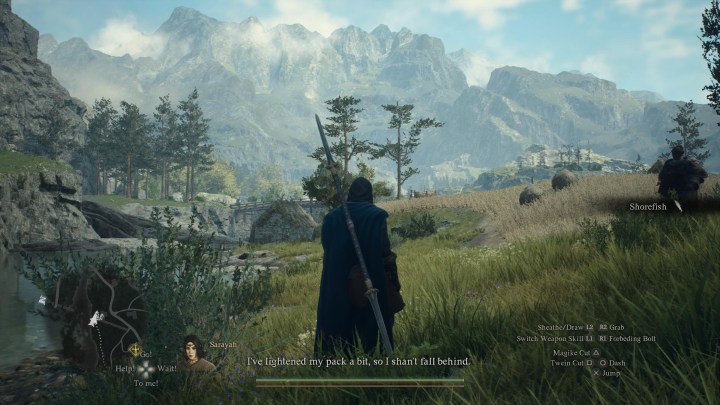 البطل يقف في أحد الحقول في Dragon's Dogma 2.