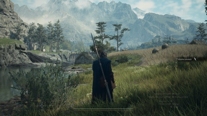 البطل يقف في أحد الحقول في Dragon's Dogma 2.