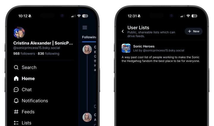 إنشاء موجز على تطبيق Bluesky.
