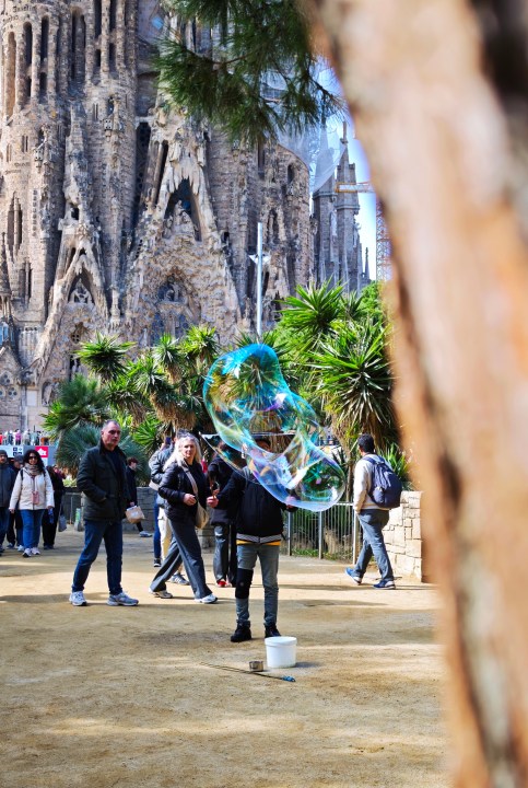 صورة تم التقاطها مع Xiaomi 15 Ultra.