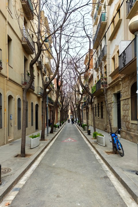 صورة تم التقاطها مع Xiaomi 15 Ultra.