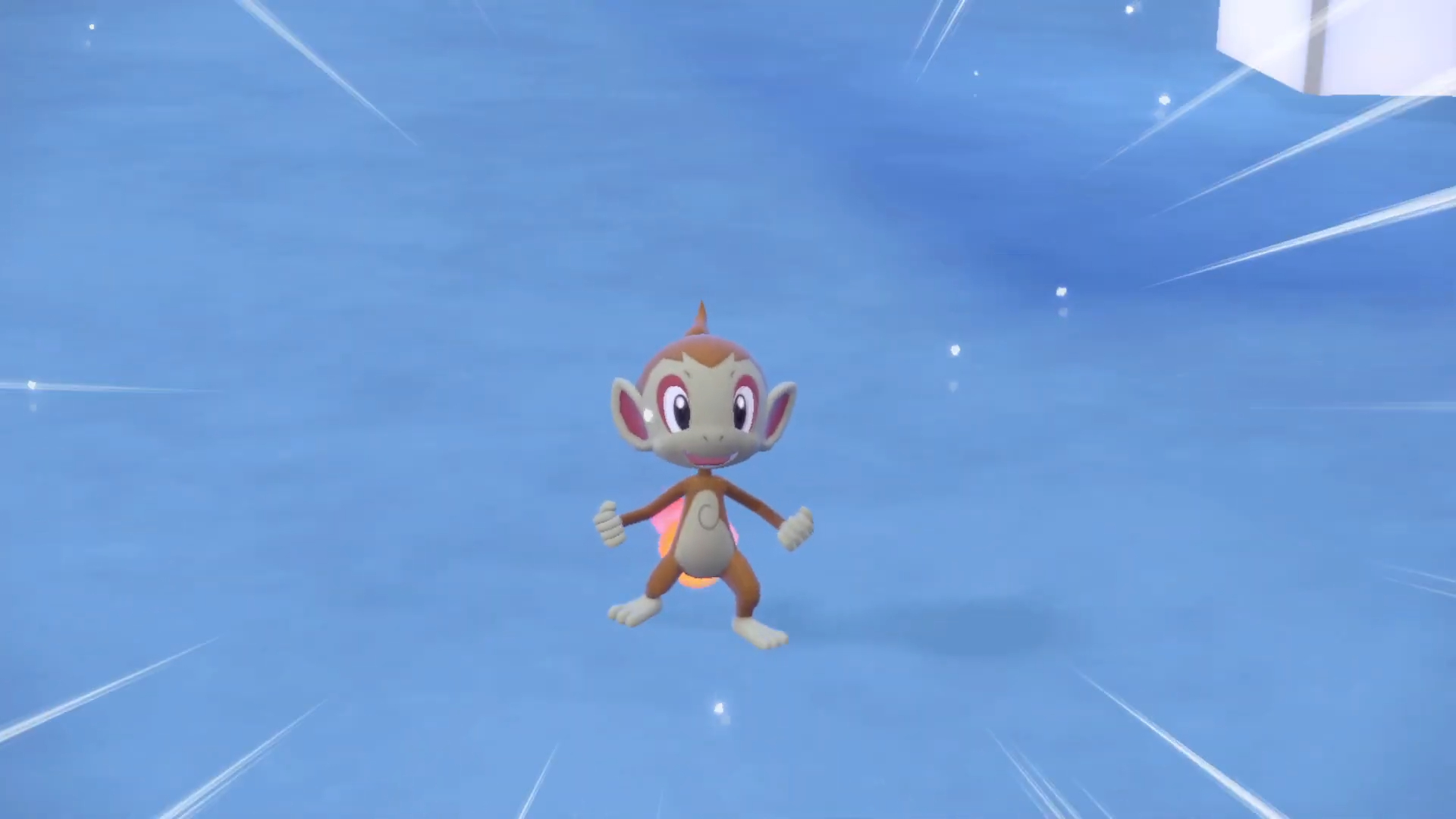 Chimchar ضرب وضع في بوكيمون.