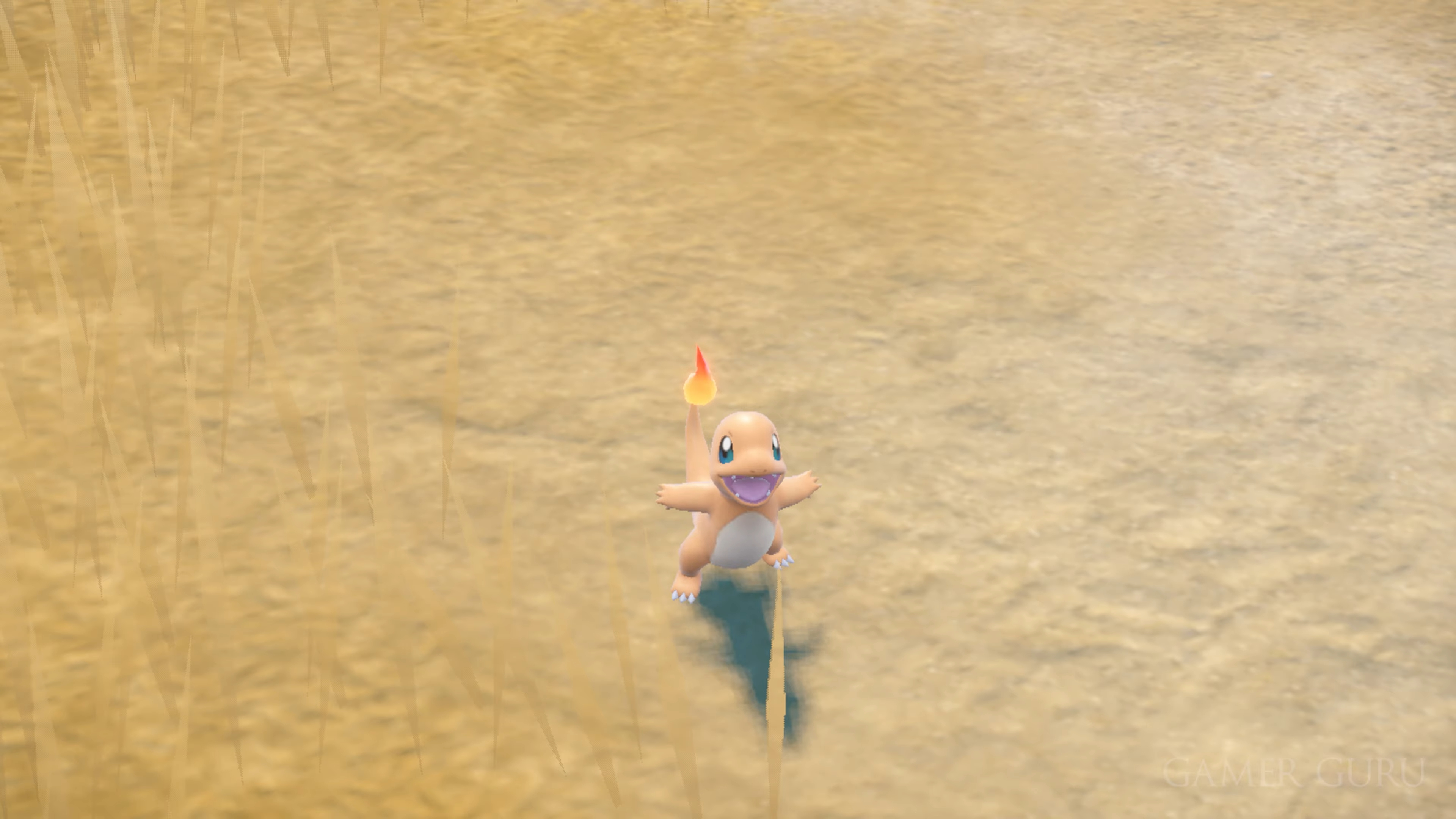 Charmander يصرخ في حقل ميت في بوكيمون.