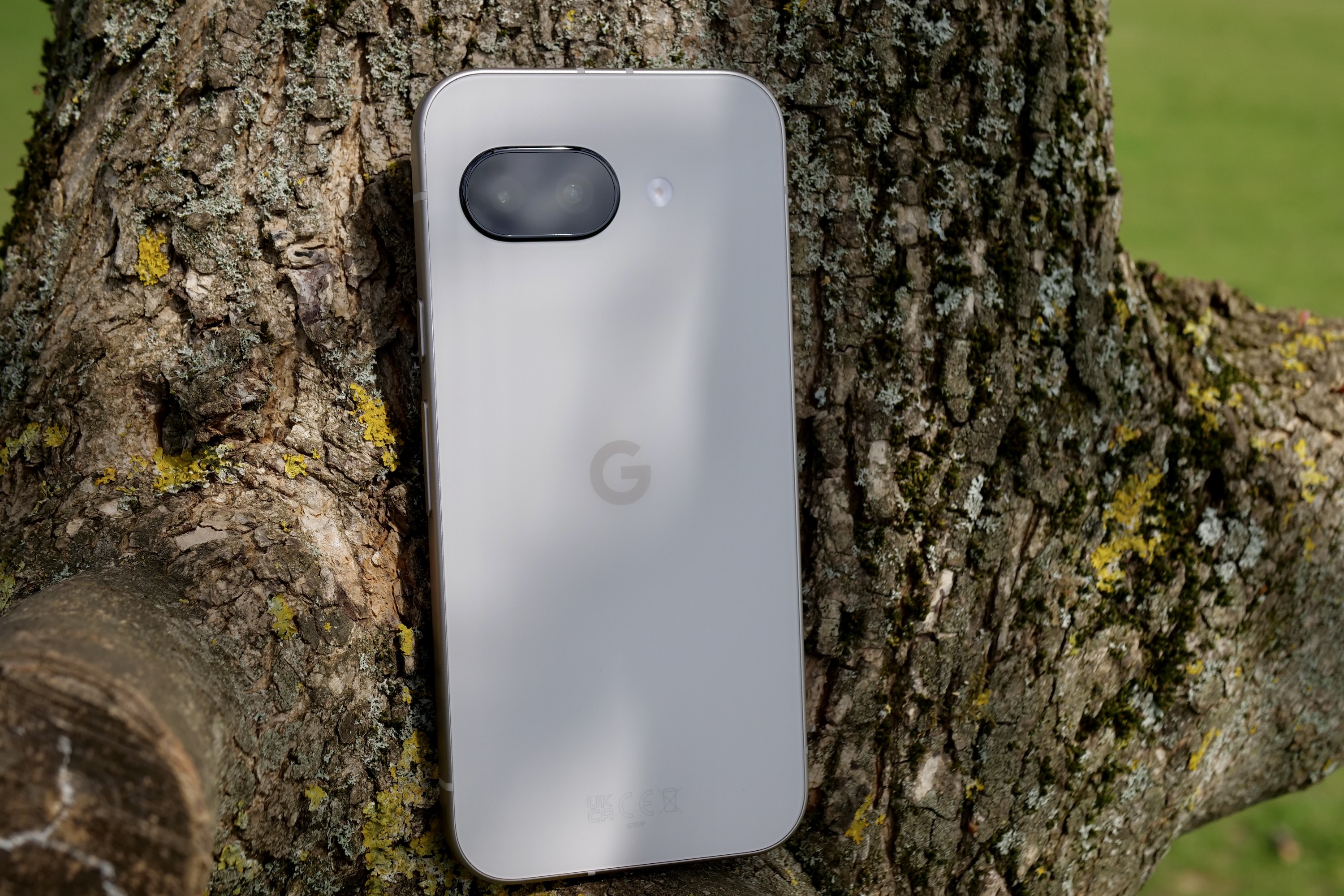 الجزء الخلفي من Google Pixel 9a.
