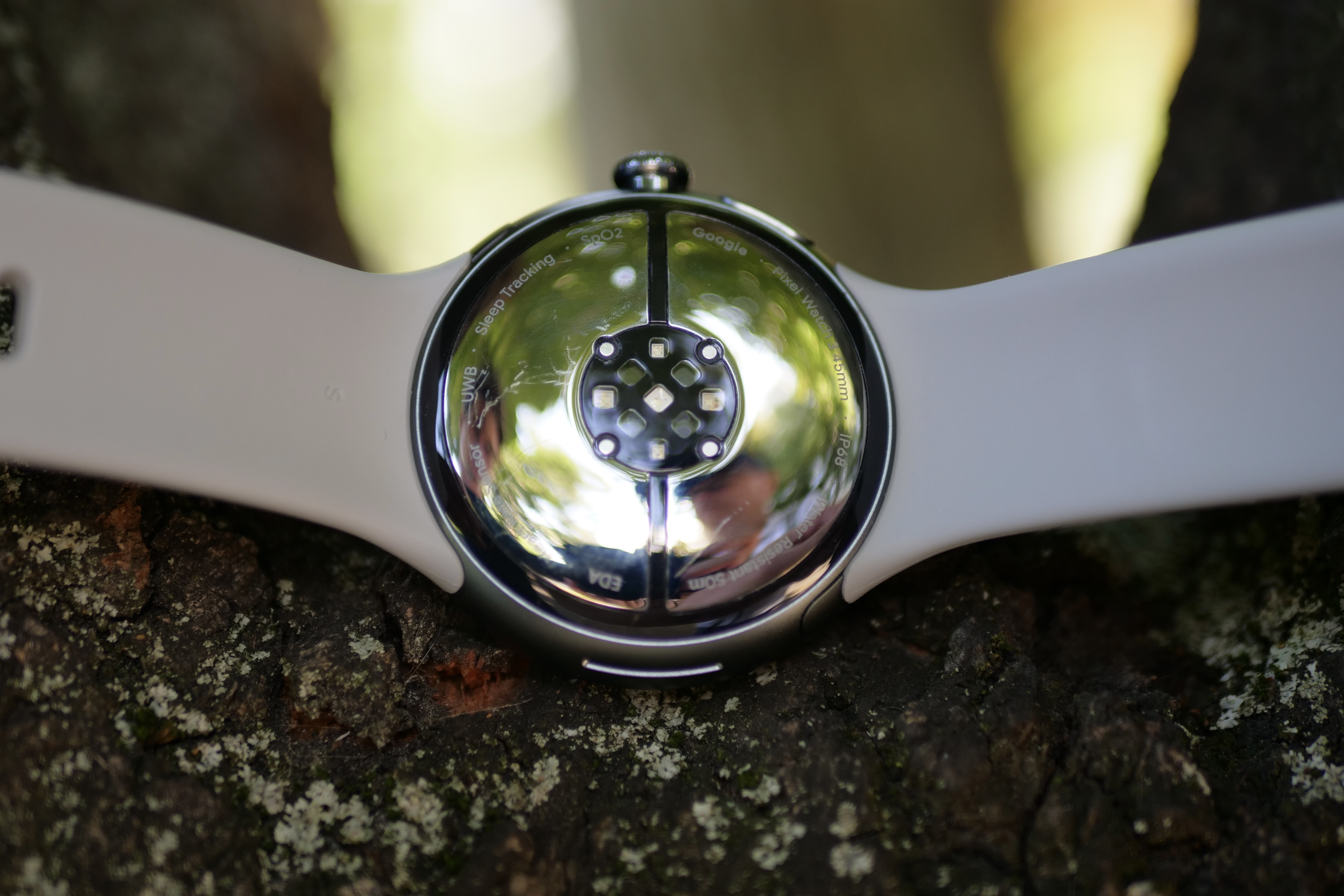 الجزء الخلفي من Google Pixel Watch 3.