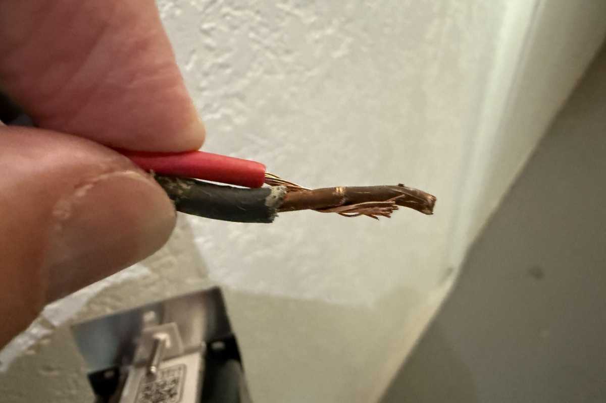 12 سلك ملتوي