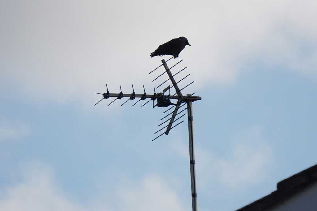 ATSC 3.0 قادم: يجب على مستخدمي هوائي التلفزيون الاستعداد للفوضى