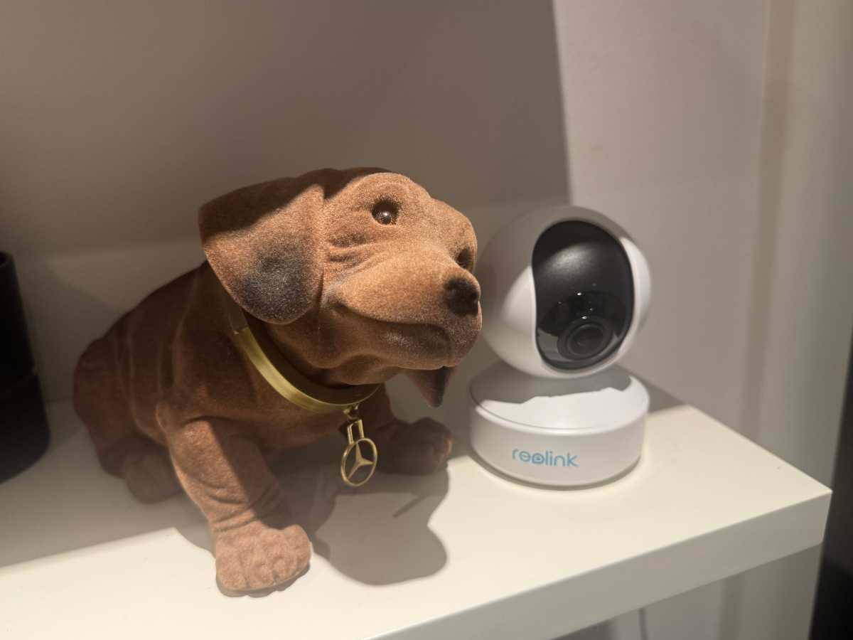 CH Wackeldackel هو كاميرا Reolink