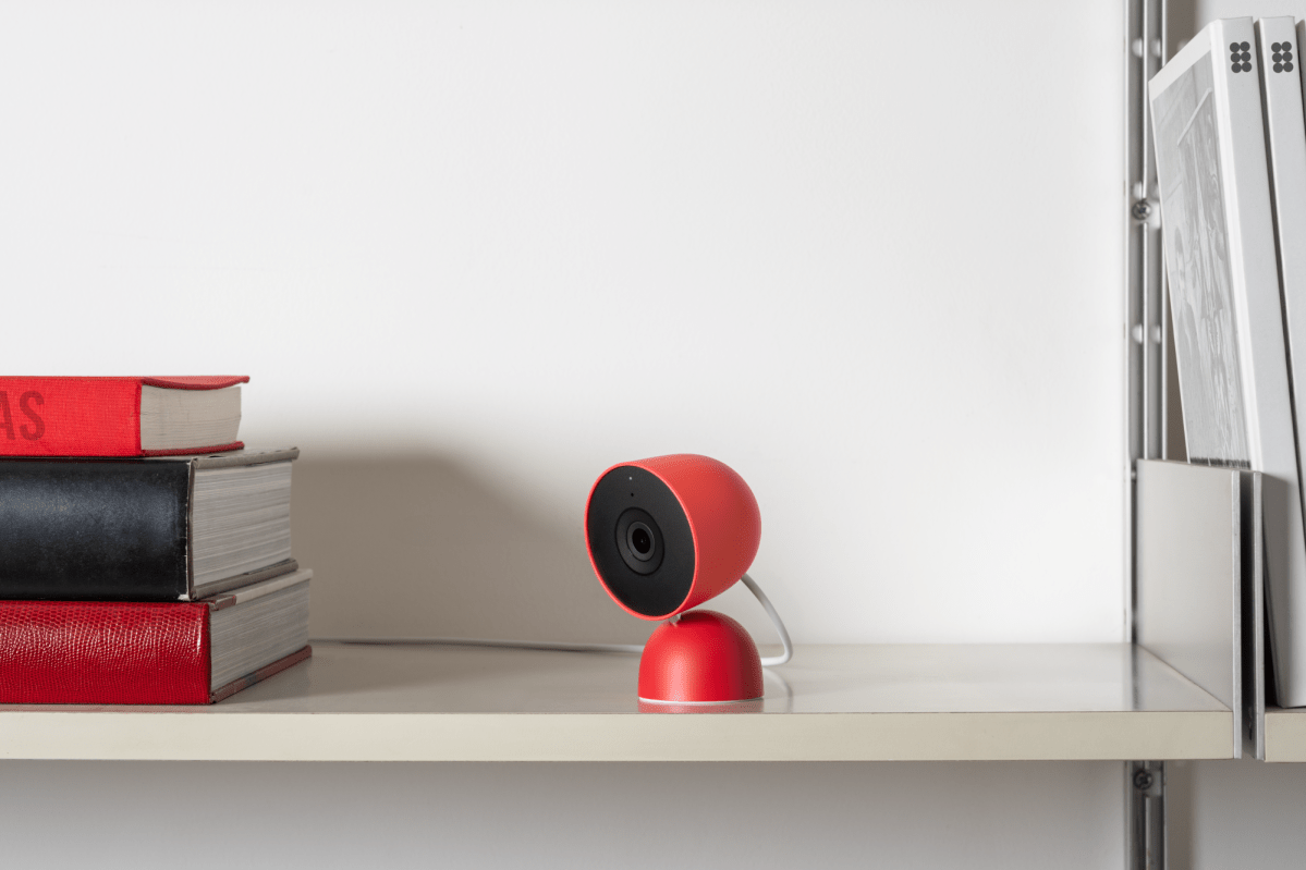 عش كام داخلي في التوت