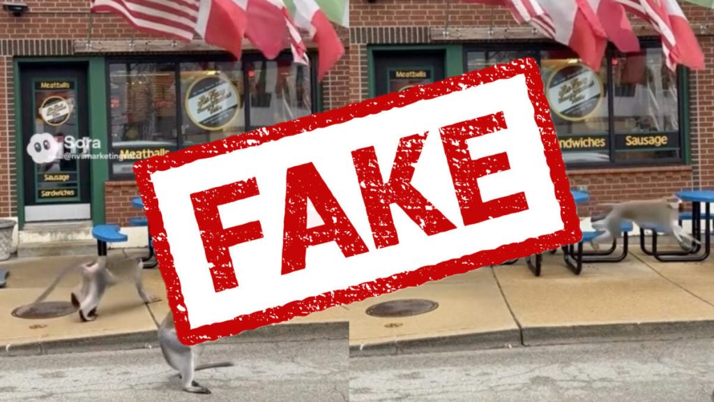 صور الذكاء الاصطناعي تثير بلبلة بالتزامن مع ظهور عصابة قرود في سانت لويس.