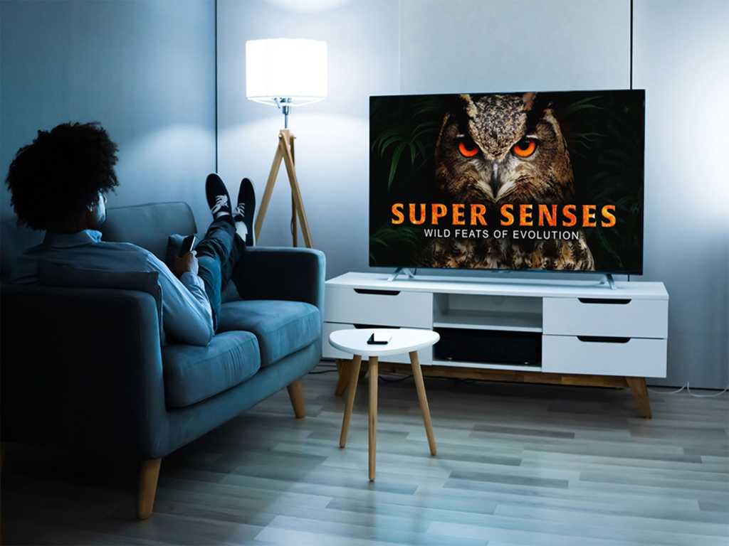 ماجِلان تي في (MagellanTV) خدمة بث وثائقي معروضة للبيع حاليًا.